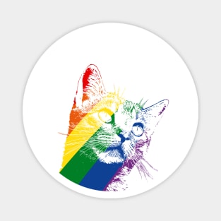 Rainbow Cat Magnet